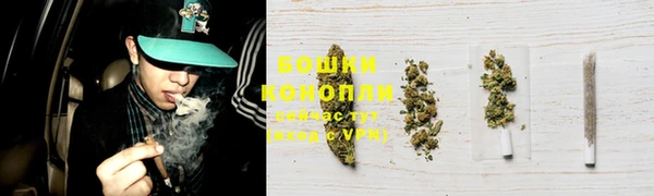 гидра Михайлов