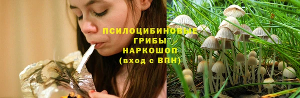 MESCALINE Надым