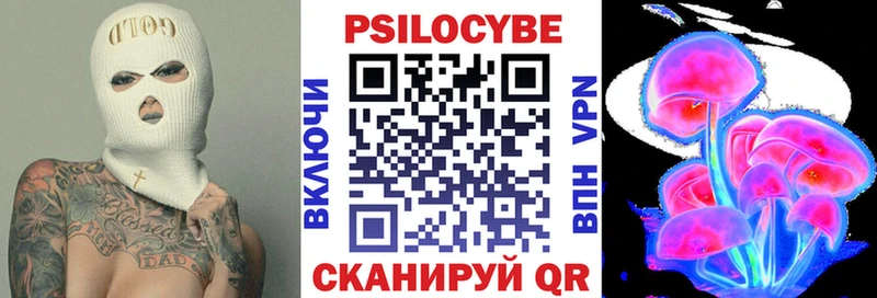 Купить где  Олёкминск  Псилоцибиновые грибы GOLDEN TEACHER 