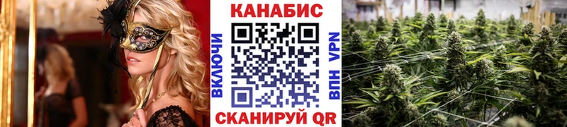 Купить закладки  Олёкминск  Бошки марихуана SATIVA & INDICA 
